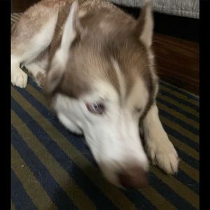 Meet your Posher, Evan